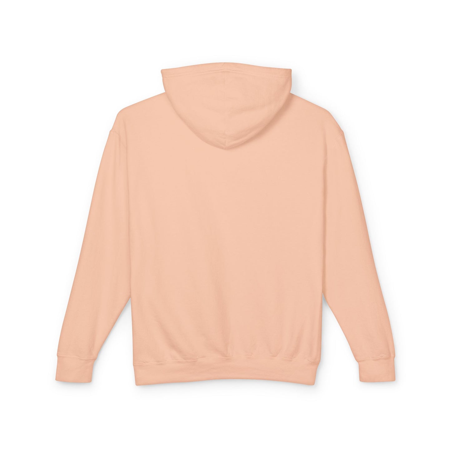 WWTD..? Lightweight Hoodie